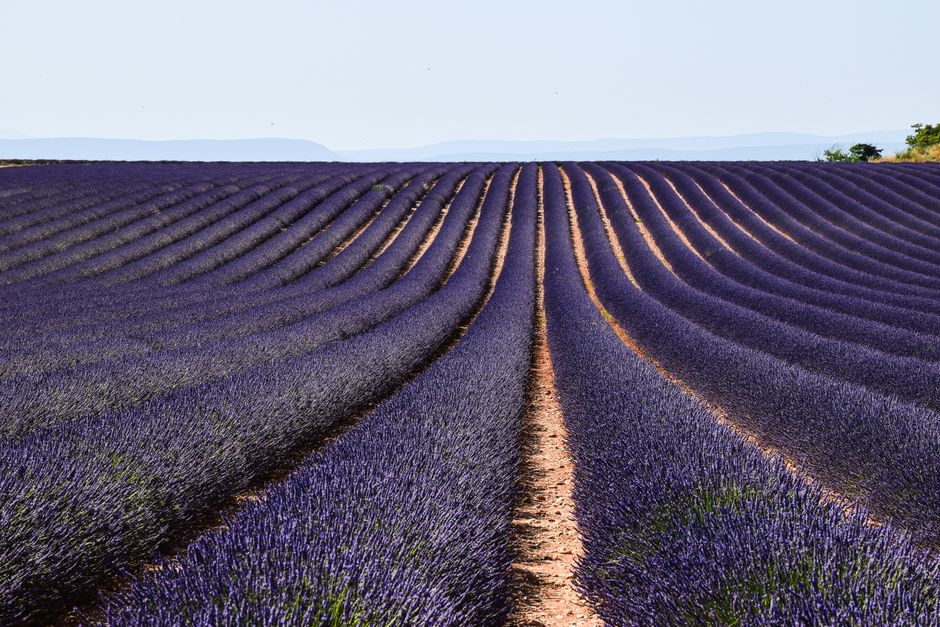 A Gentler Way to Approach Health And The Things We Measure, One Step at a Time