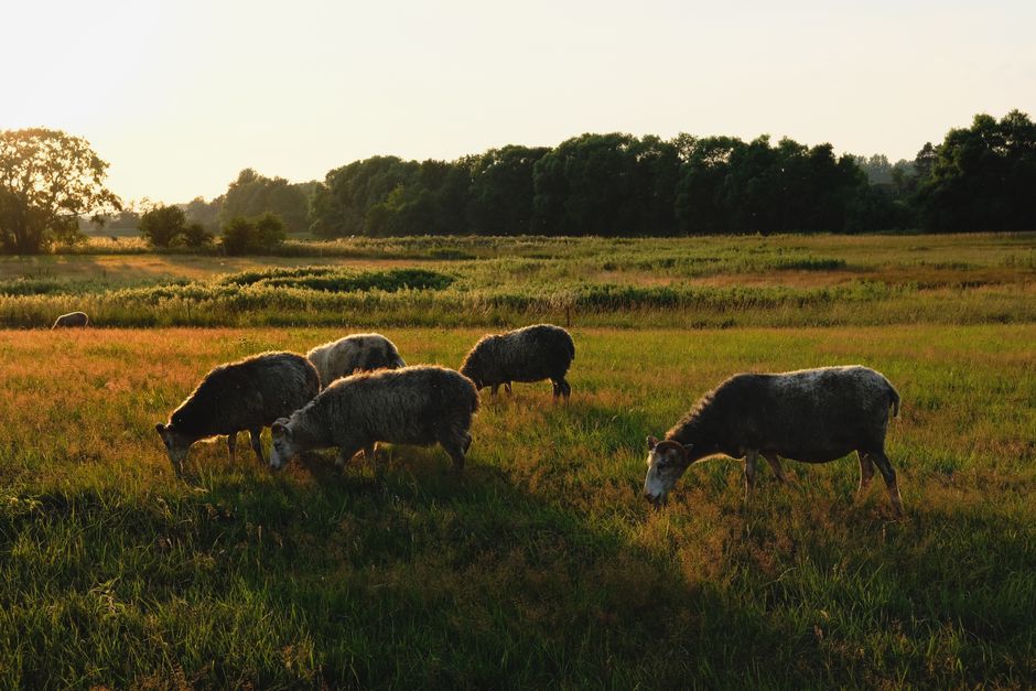 A Slower Approach to Creating Healthy Long-Term Habits, One Step at a Time
