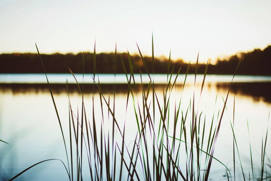 A Step-by-Step Look at The Importance Of Personal Well-Being