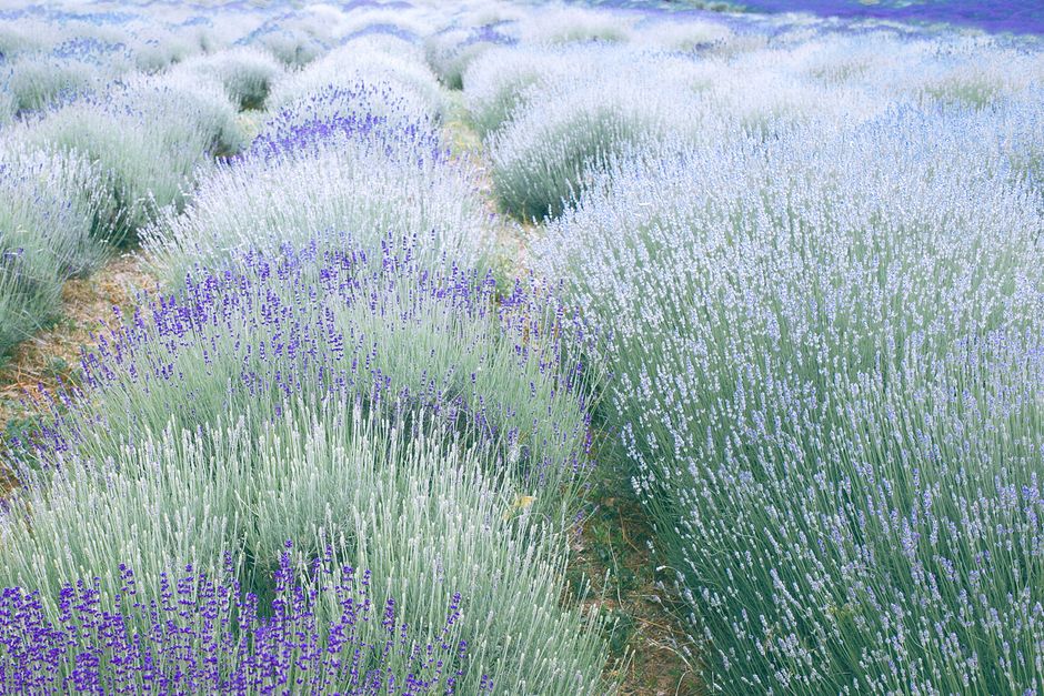 Everyday Habits Built Around The Quiet Importance Of Rest, Starting Today