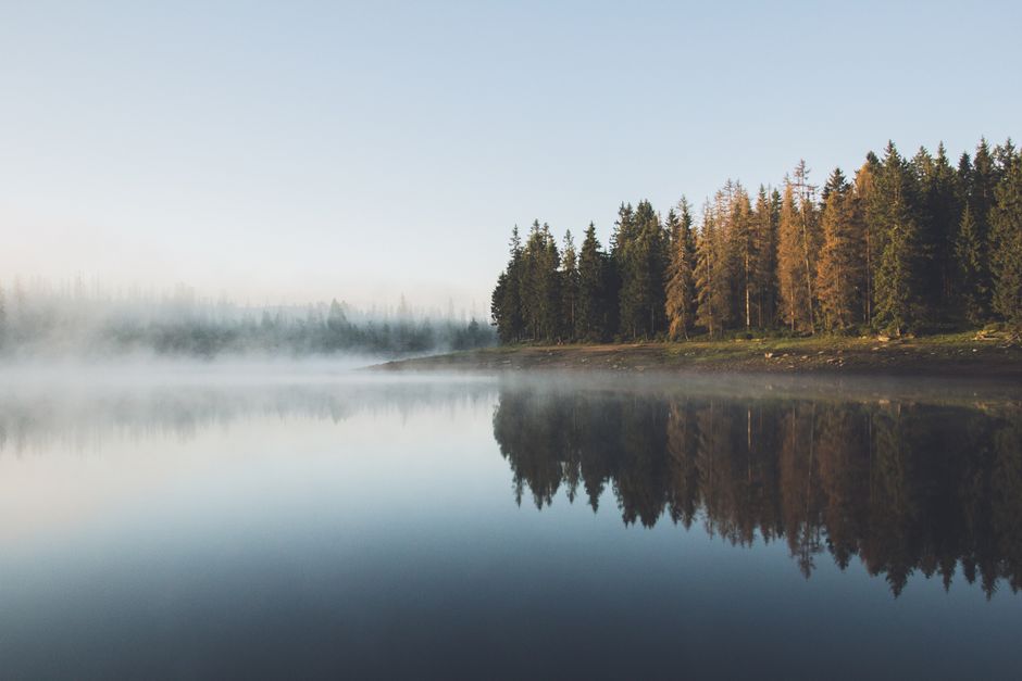 Getting Started With Understanding Health And Wellness