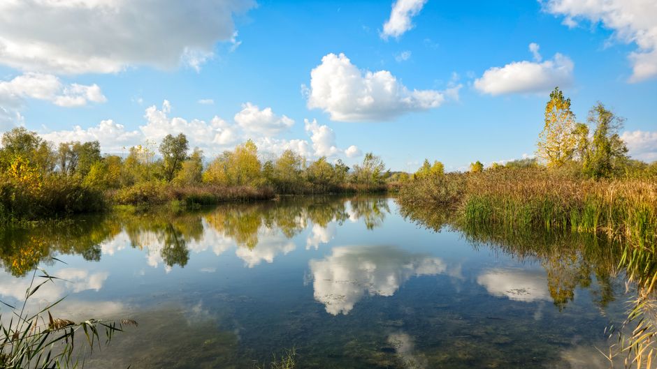 Living Well With Wellness Without Perfectionism in Mind, for Real Life