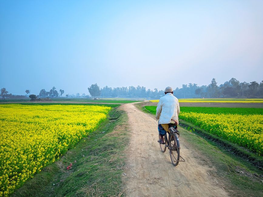 Making Sense of Moving More Without Going To A Gym