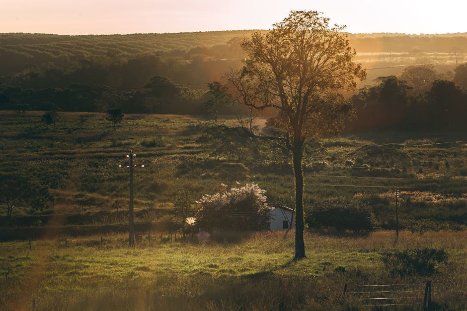 The Case for Building Positive Daily Routines, Minus the Overwhelm