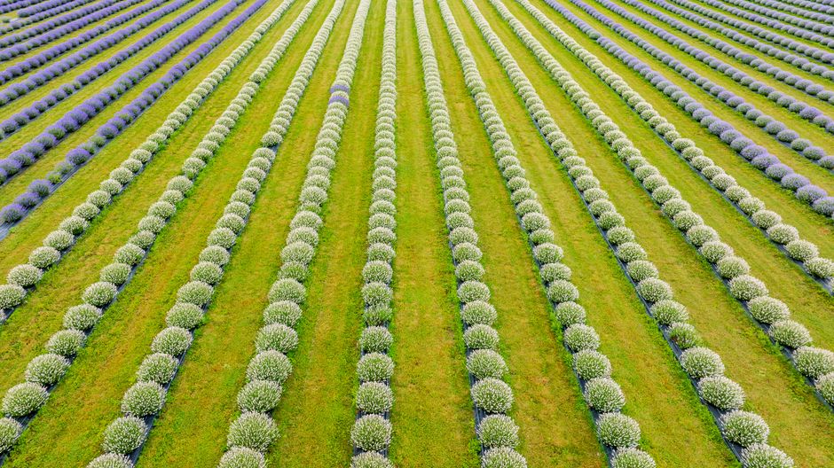 The Quiet Value of What We Learn From Our Own Patterns, Minus the Overwhelm