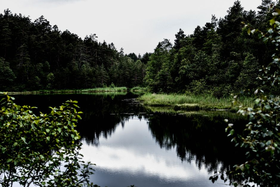 Understanding Wellness Without Perfectionism in Plain Terms, for Real Life