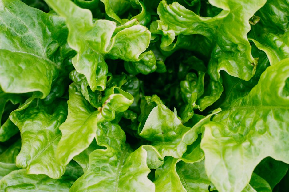 What Nobody Tells You About Vitamin D And The Limits Of Sunlight, Explained Simply