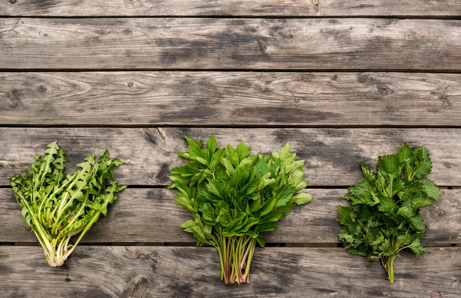 Where to Begin With Magnesium: Why So Many People Run Short, the Honest Way